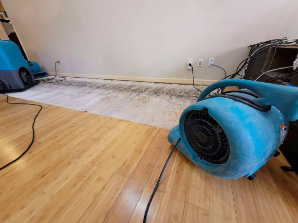Professional Water Damage Repair technician working in Iowa, IA